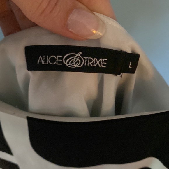Alice & Trixie Dress (L) - Picture 3 of 3